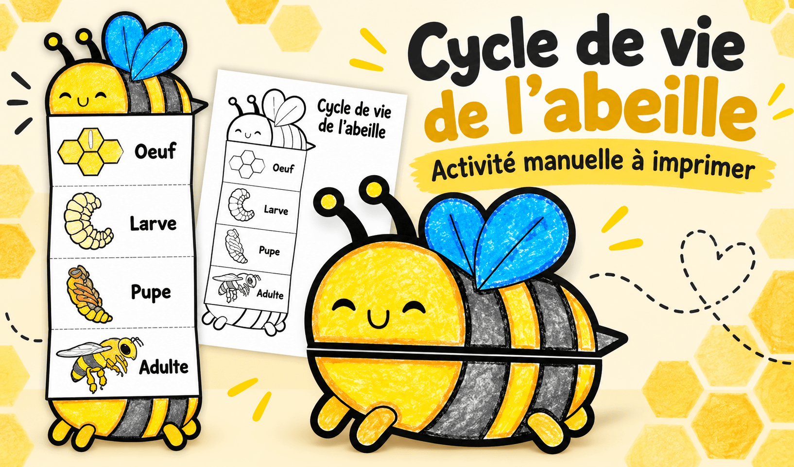 Ressource educative TPT - Cycle de vie de l’abeille | Activité Manuelle en français à imprimer