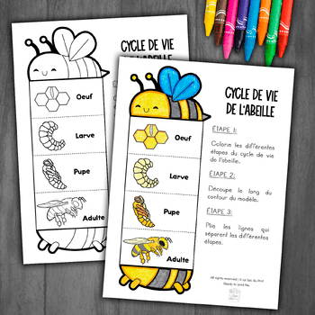 Imagen 2 del recurso de TPT