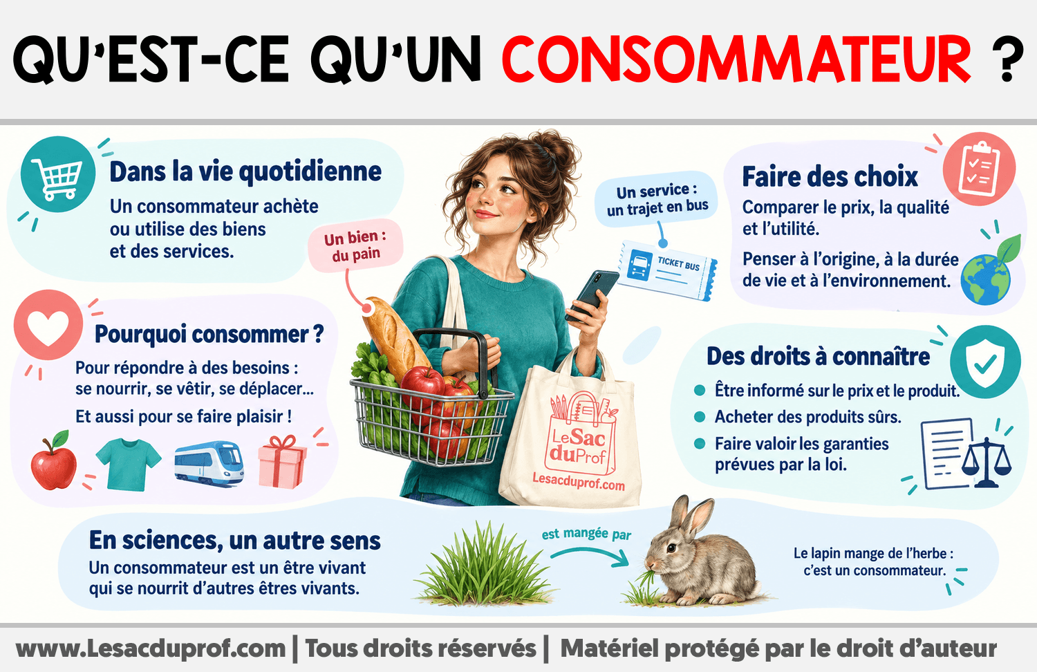 Qu’est-ce qu’un consommateur ? Infographie sur Qu’est-ce qu’un consommateur ?