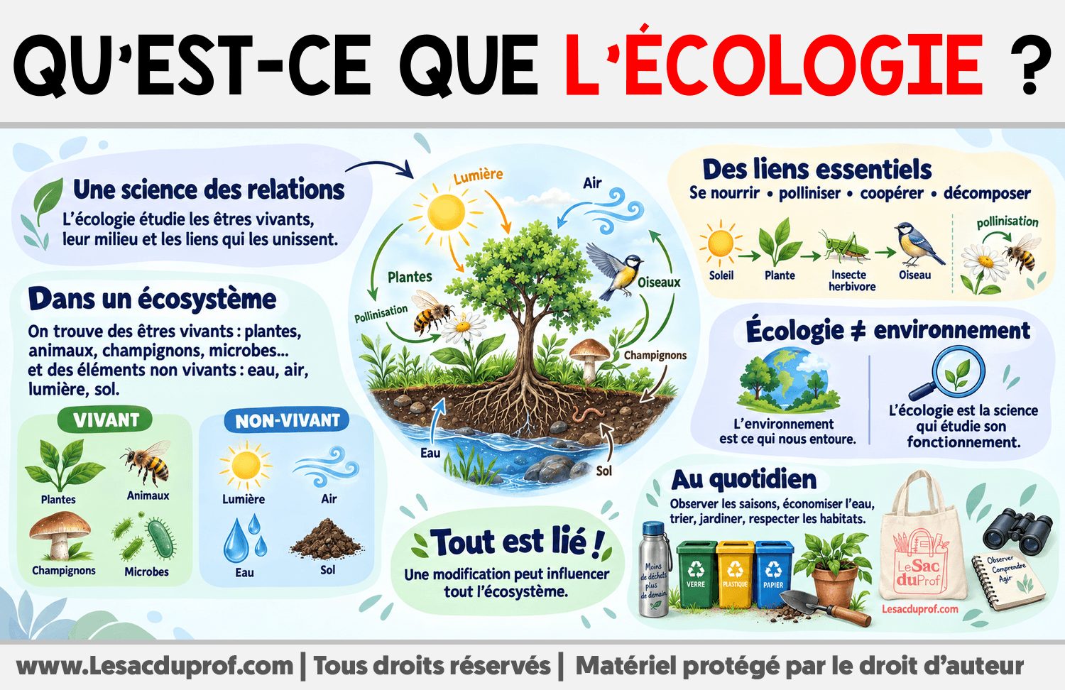 Qu’est-ce que l’écologie ? Infographie sur Qu’est-ce que l’écologie ?