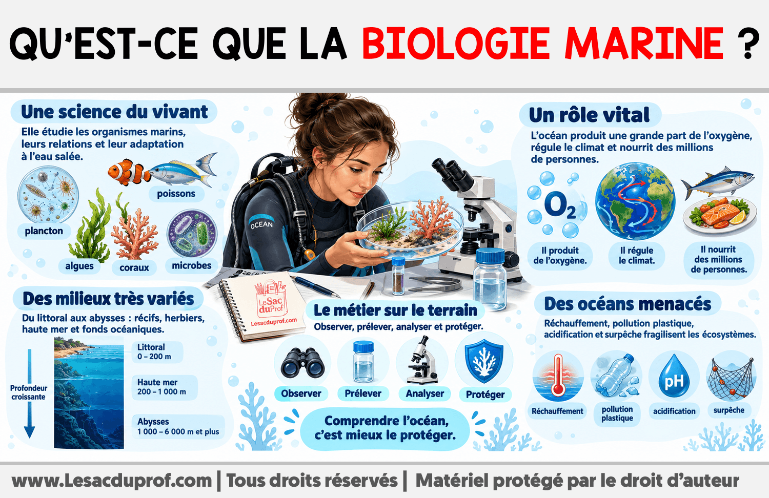 Qu’est-ce que la biologie marine ? Infographie sur Qu’est-ce que la biologie marine ?