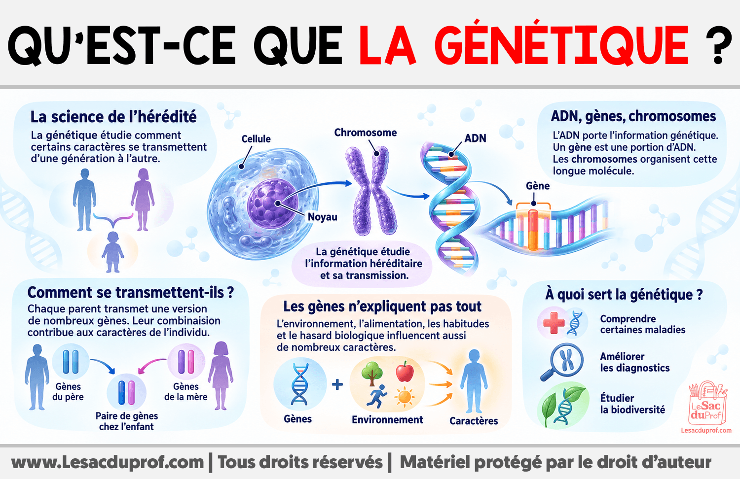 Qu’est-ce que la génétique ? Infographie sur Qu’est-ce que la génétique ?