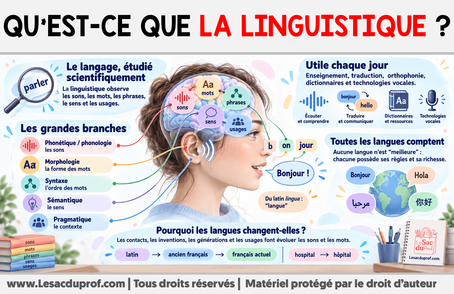 Qu’est-ce que la linguistique ? Infographie sur Qu’est-ce que la linguistique ?