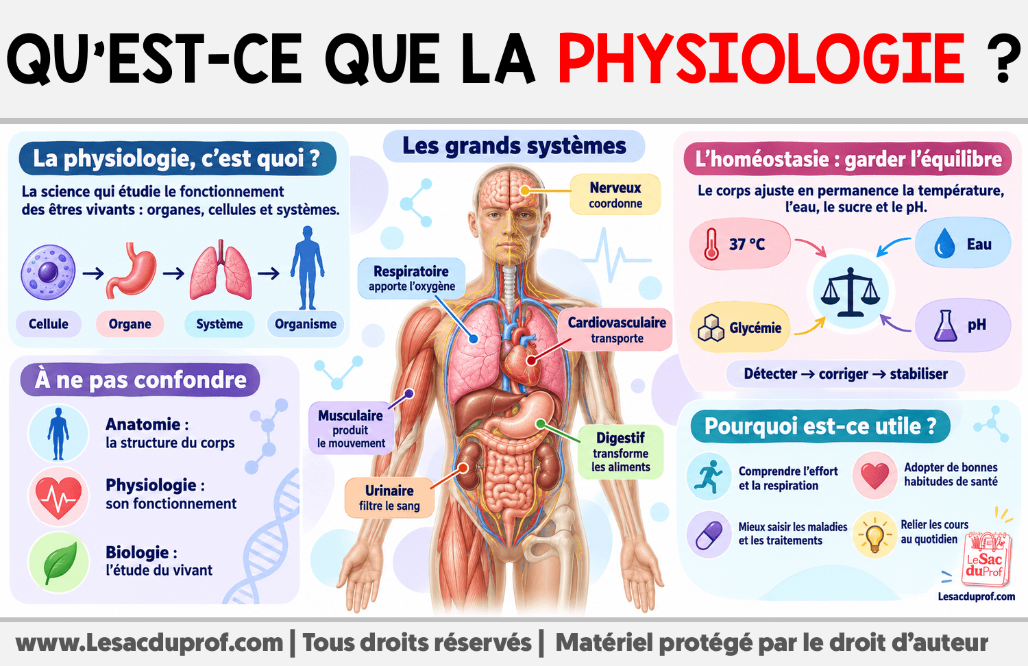 Qu’est-ce que la physiologie ? Infographie sur Qu’est-ce que la physiologie ?