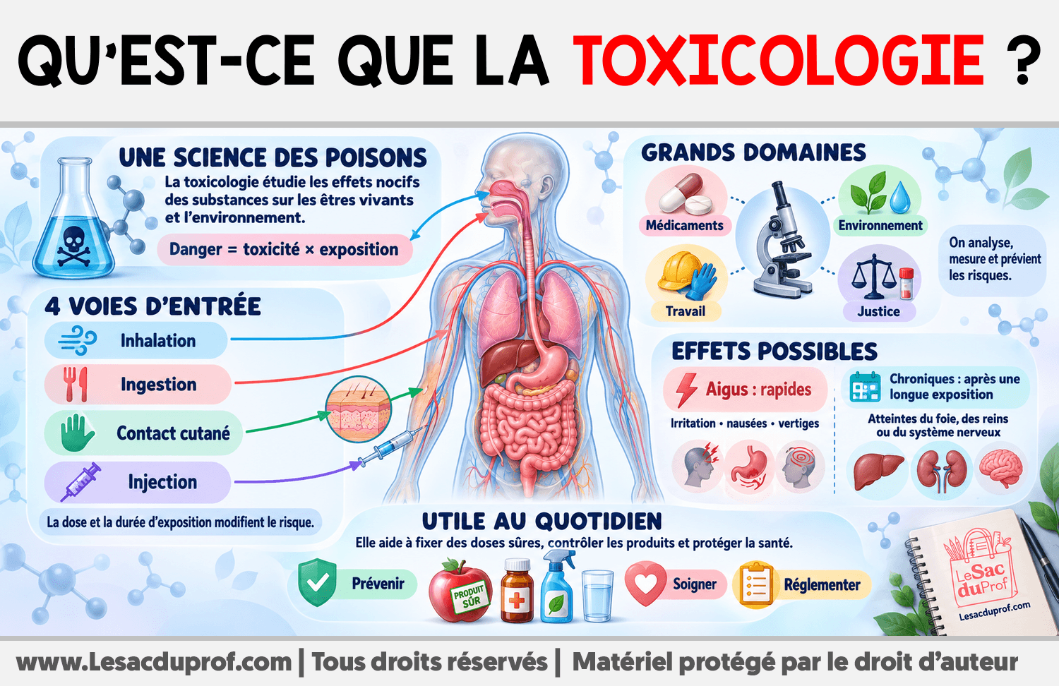 Infographie sur Qu’est-ce que la toxicologie ?