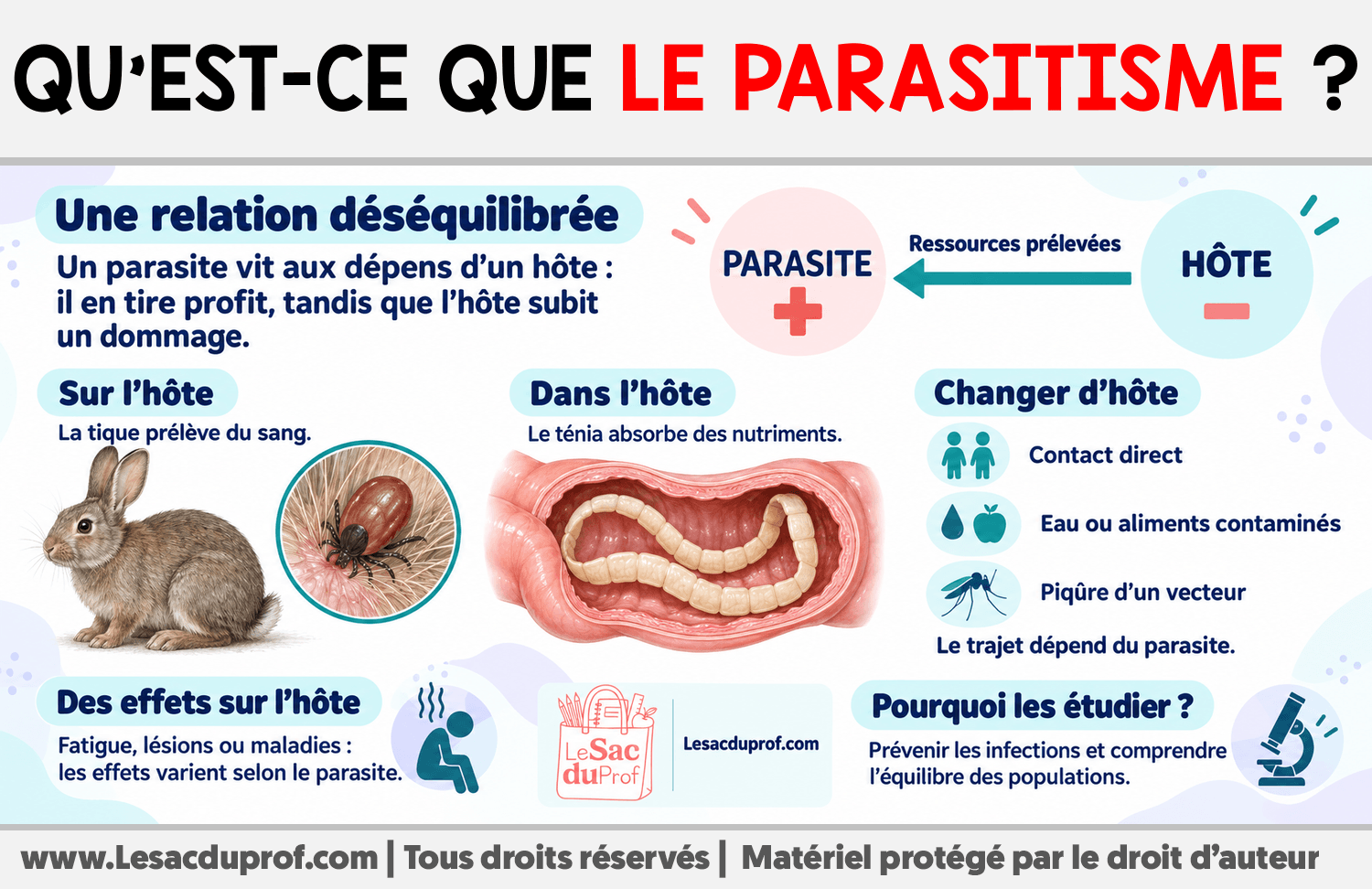 Infographie sur Qu’est-ce que le parasitisme ?