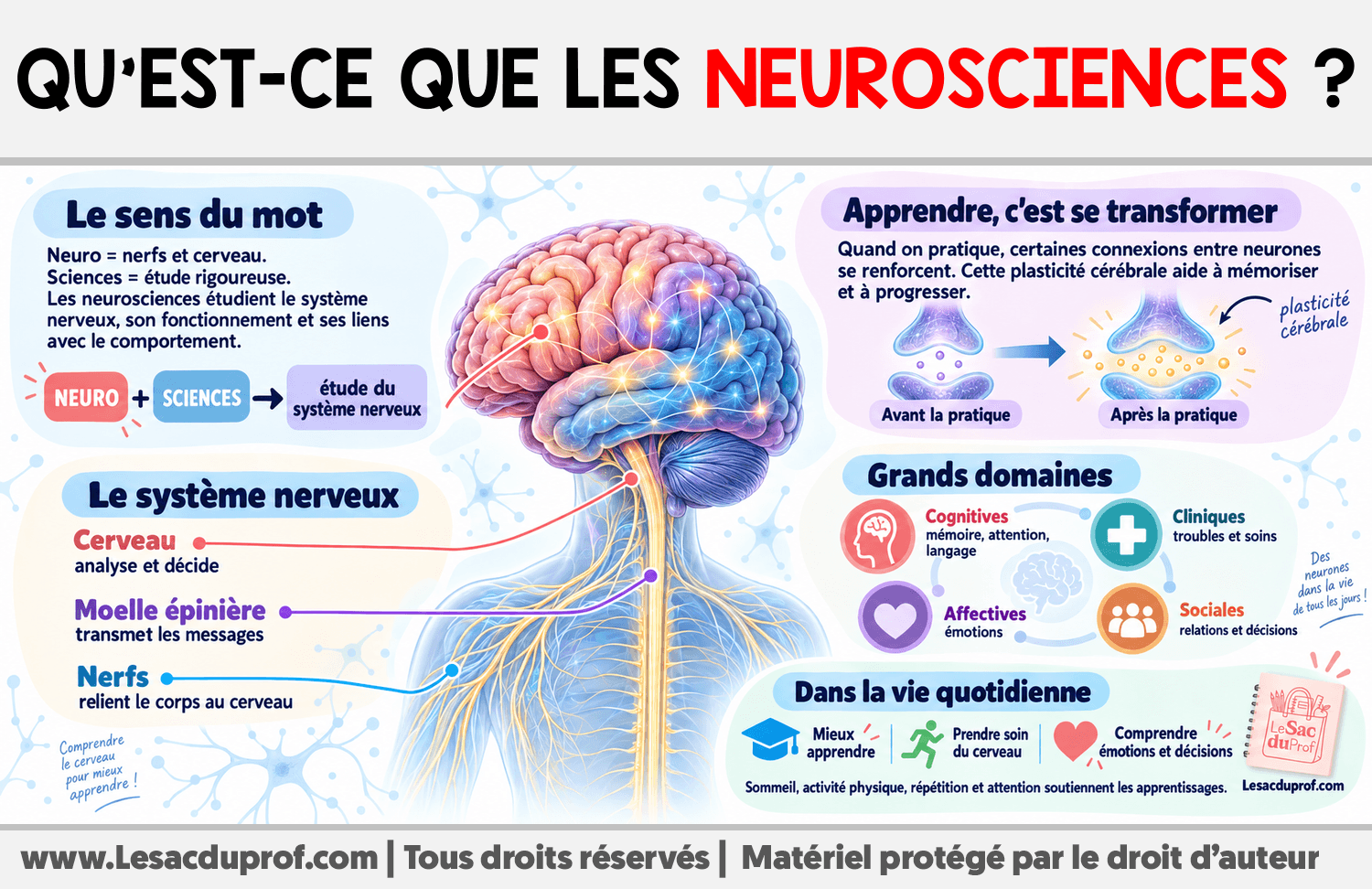 Infographie sur Qu’est-ce que les neurosciences ?